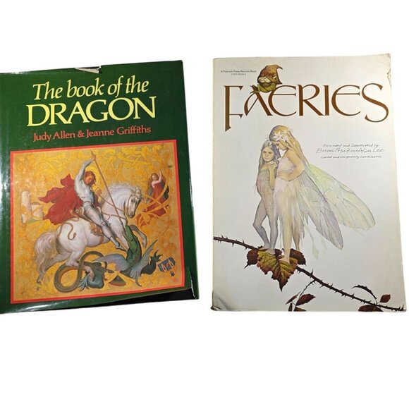The Book Of The Dragon & Faeries Illustrated Books fantasy mythical magical - Picture 1 of 11